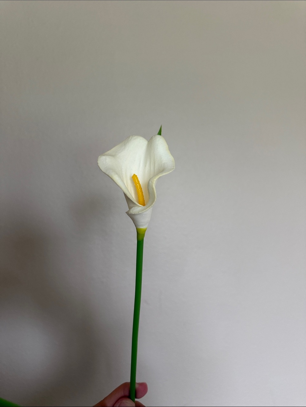 White Calla Lily Stem Decorative Accent - Unbranded